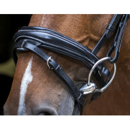 BRIDON PRO DESIGN ERIC THOMAS