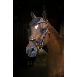 BRIDON PRO DESIGN ERIC THOMAS