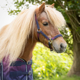 LICOL+LONGE JAILY OMBRE QHP