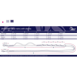 ENRENEMENT AVEC ELASTIQUE HARRY'S HORSE