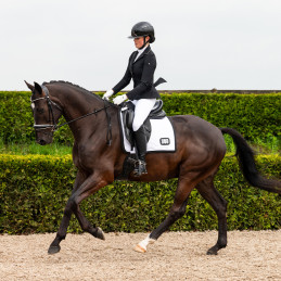 VESTE CONCOURS SARIAH QHP