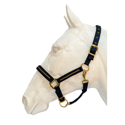 LICOL+LONGE NOSSA FLAG'S&CUP