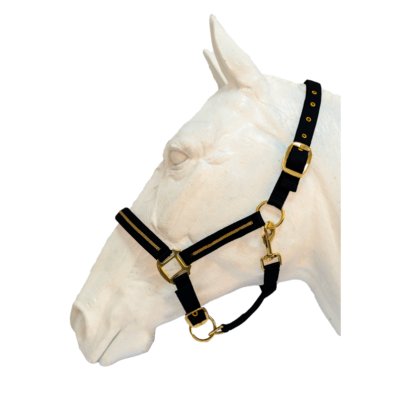 LICOL+LONGE NOSSA FLAG'S&CUP