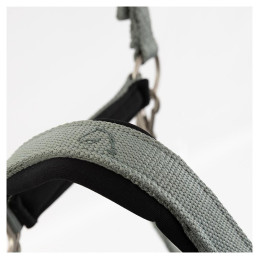 LICOL EEVOLV IDYLLE BR