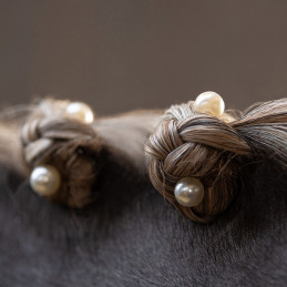 PERLES BLANCHES POUR PIONS QHP