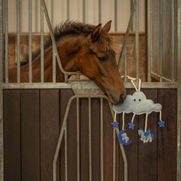 JOUET POUR POULAIN NOVY QHP
