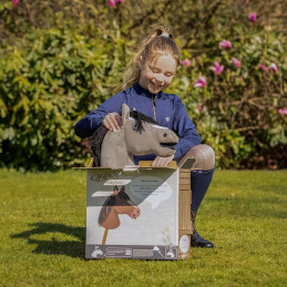 HOBBY HORSE QHP