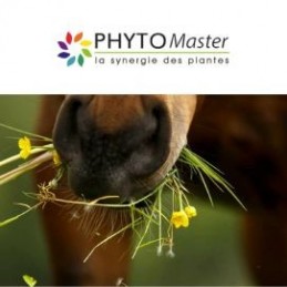 PHYTO MASTER DRAINEUR 