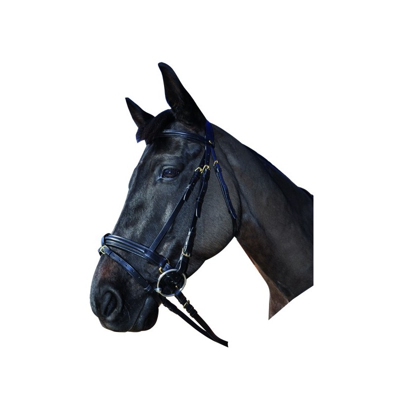 BRIDON EUROLARGE CHETAK par PRIVILEGE EQUITATION