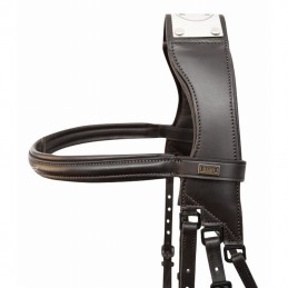 Bridon à Pont RAPHAEL par TDET