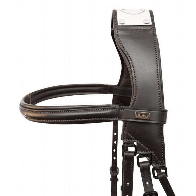 Bridon à Pont RAPHAEL par TDET