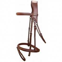 Bridon à Pont RAPHAEL par TDET