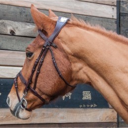 Bridon MANET par TDET