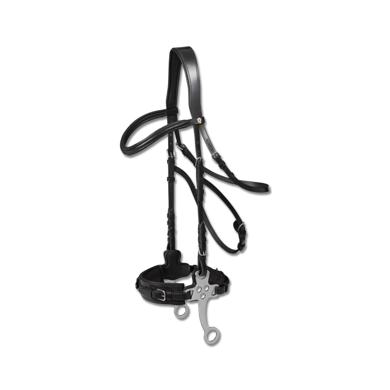 Bridon X-Line HACKAMORE par WALDHAUSEN