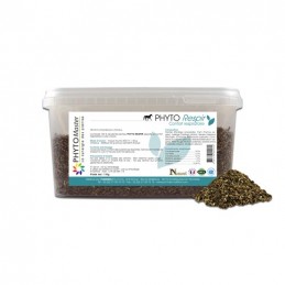 Phyto RESPIR (confort respiratoire)