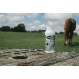 OXXYGEN 500ML - RAVENE