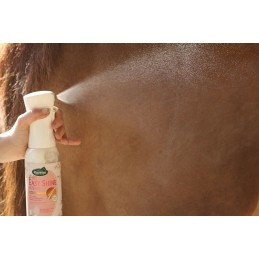 EASY SHINE DEMELANT INTENSE 500ML RAVENE