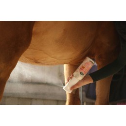 EASY SHINE DEMELANT INTENSE 500ML RAVENE