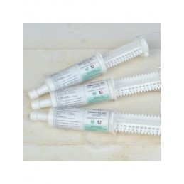 SERINGUE ELECTROLYTES NUTRAGILE