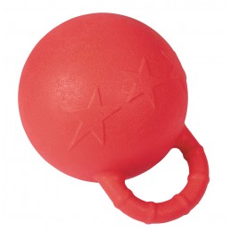 Set d'agilité pour cheval