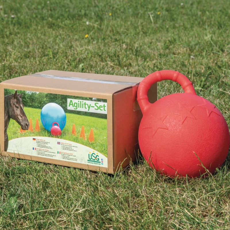 Set d'agilité pour cheval