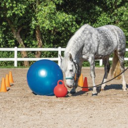 Set d'agilité pour cheval