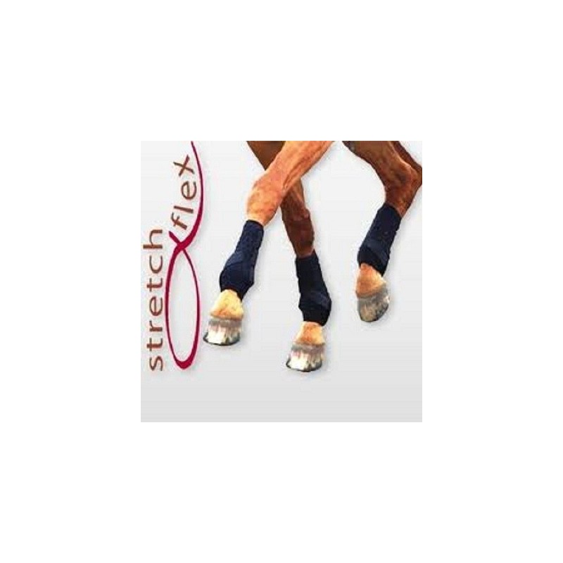 GUETRES EQUILIBRIUM DRESSAGE SIMPLES