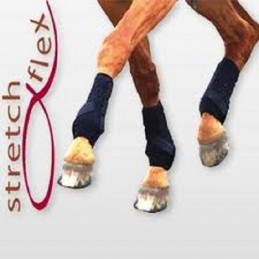 GUETRES EQUILIBRIUM DRESSAGE INTEGRALES