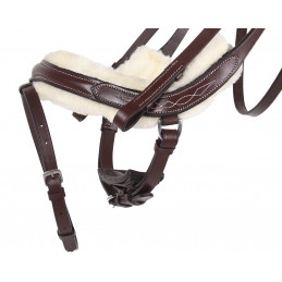 BRIDON CUIR ET MOUTON ONTARIO QHP