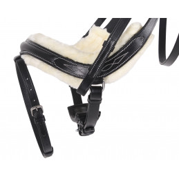 BRIDON CUIR ET MOUTON ONTARIO QHP