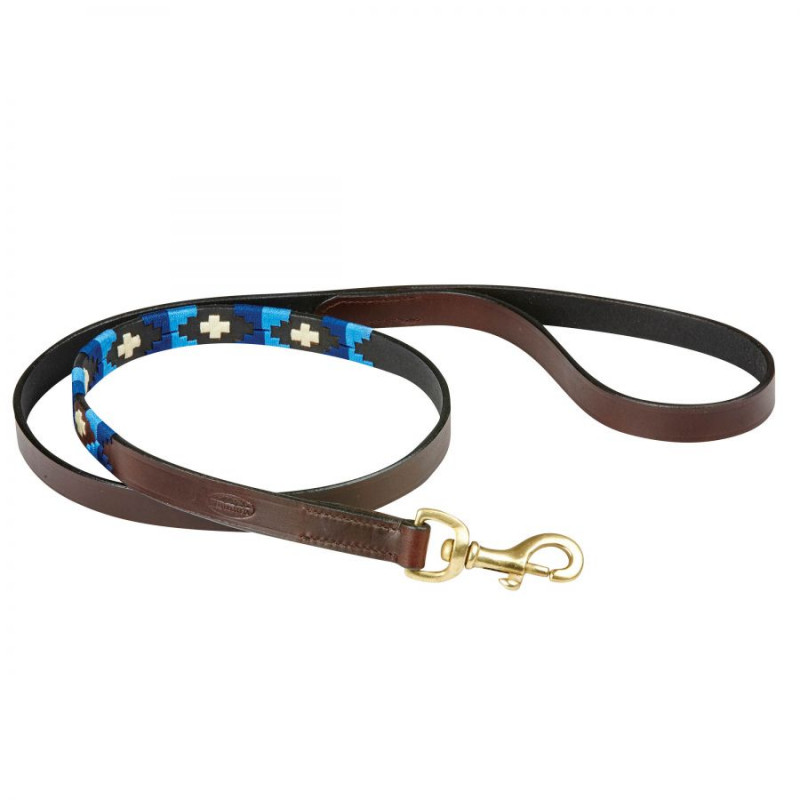 LAISSE CHIEN WEATHERBEETA