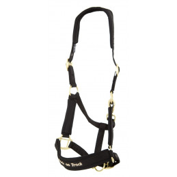 LICOL BACK ON TRACK WERANO