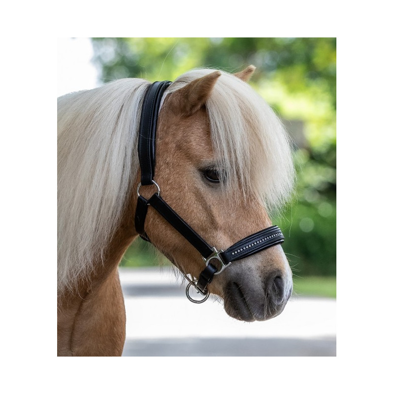 LICOL CUIR DIAMOND WALDHAUSEN