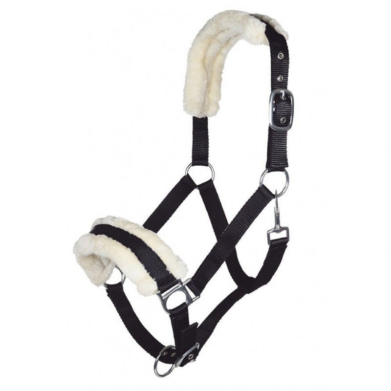 LICOL MOUTON TEDDY HKM