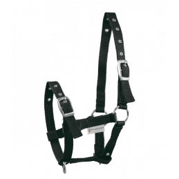 LICOL POULAIN TRIPLE WALDHAUSEN