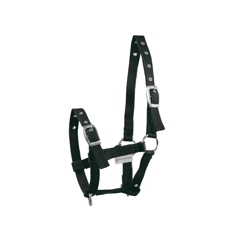 LICOL POULAIN TRIPLE WALDHAUSEN