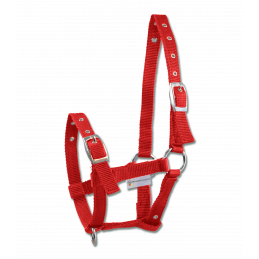 LICOL POULAIN TRIPLE WALDHAUSEN