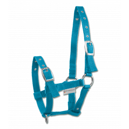 LICOL POULAIN TRIPLE WALDHAUSEN