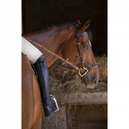 MINI CHAPS PREMIUM NOIR EQUITHEME