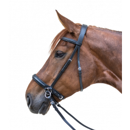 BRIDON BITLESS TWO STAR NOIR WALDHAUSEN