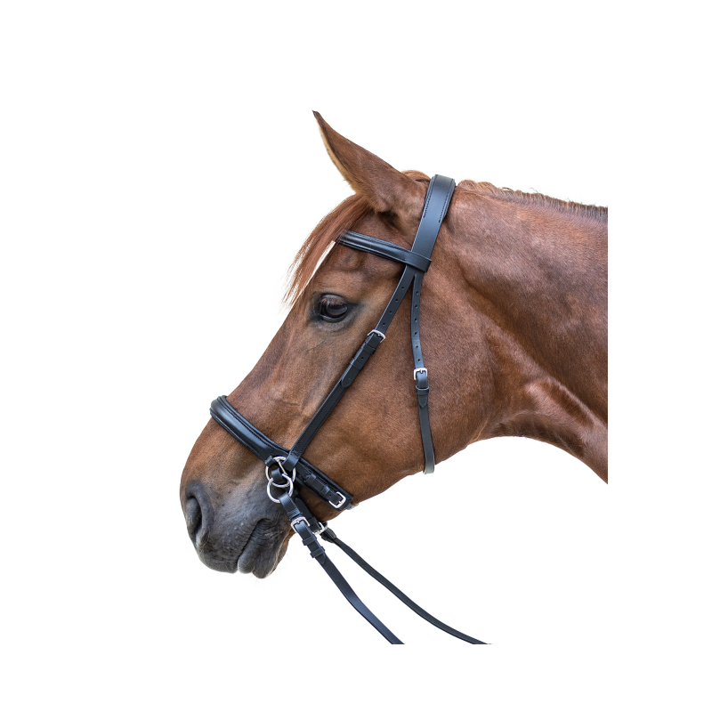 BRIDON BITLESS TWO STAR NOIR WALDHAUSEN