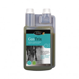 GASTRIX 946ML HORSE MASTER