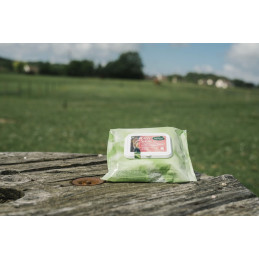 EASY SHINE WIPES LINGETTES CHEVAUX