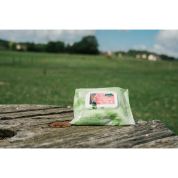 EASY SHINE WIPES LINGETTES CHEVAUX