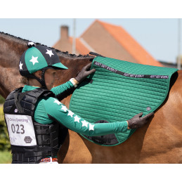 TAPIS COUNTRY VEGAS QHP