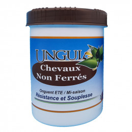 ONGUENT ETE NON FERRES UNGULA 1L