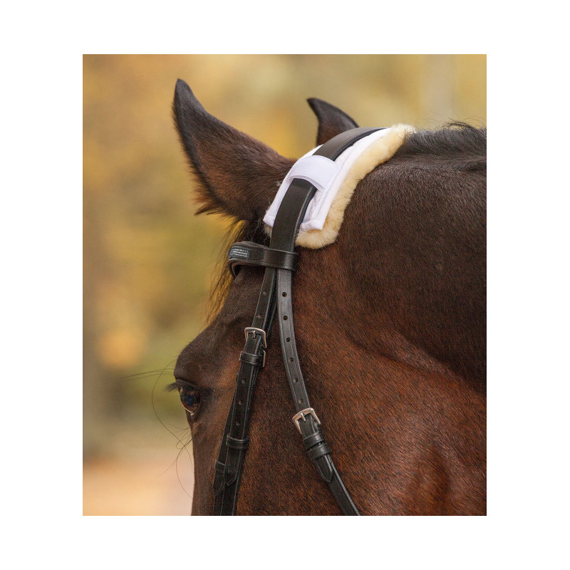 PROTEGE MUSEROLLE/TETIERE MOUTON  WALDHAUSEN