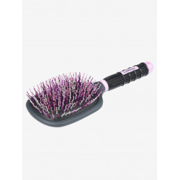 BROSSE A CRINS LEMIEUX