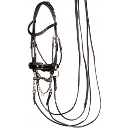 BRIDE GRAND PRIX HARRY'S HORSE