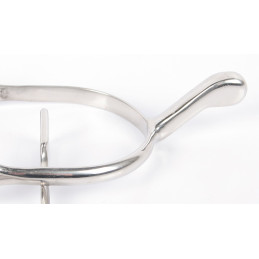 EPERON COL DE CYGNE HARRY'S HORSE